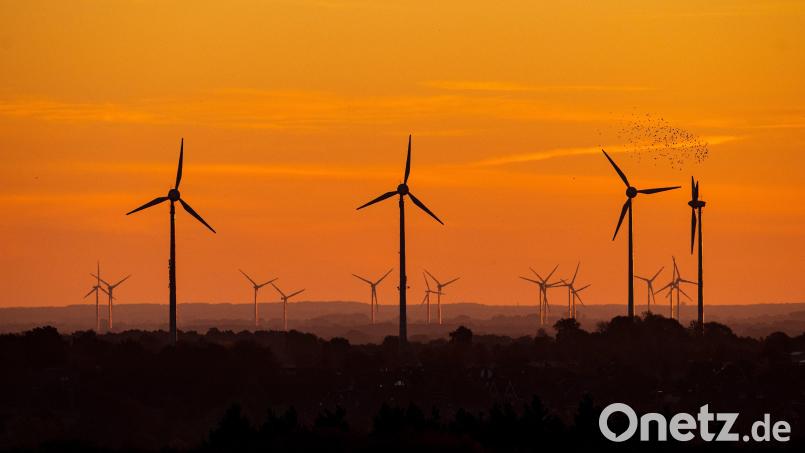 Deutlich mehr Windkraftanlagendürfte es bald auch in der Nordoberpfalz geben. Symbolbild: Sina Schuldt/dpa