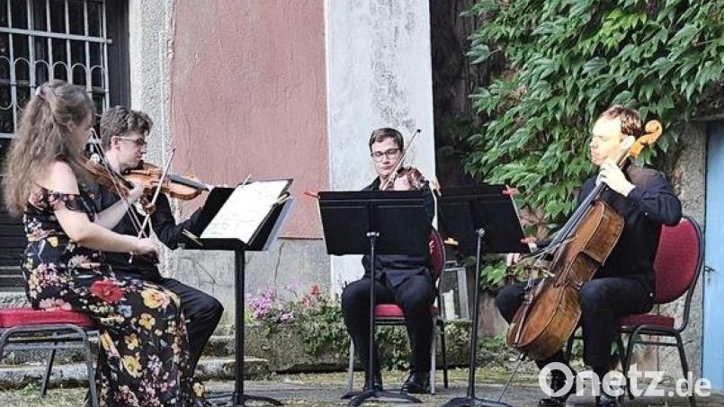 Bei den Wurzer Sommerkonzerten spielte am Samstag das Ševčík-Quartet auf. Bild: Willi Cantzler