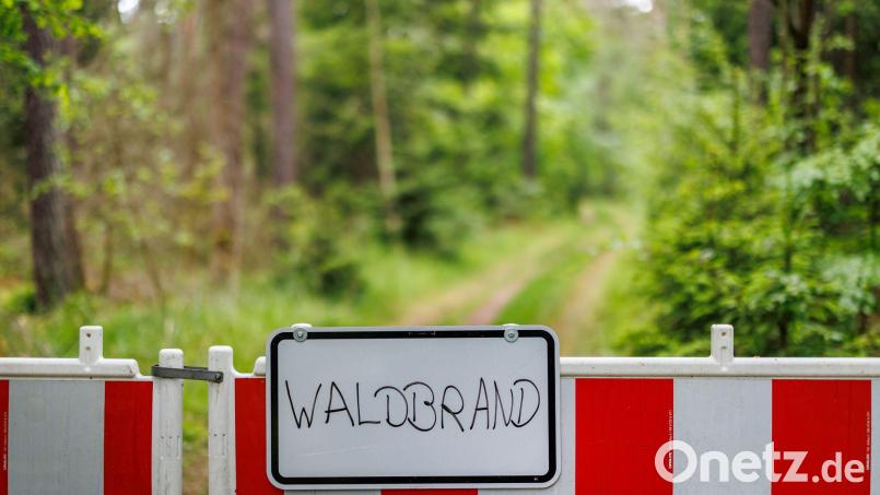 Am späten Samstagvormittag hat es in einem Wald zwischen Massenricht und Dürnast gebrannt. Rund 100 Einsatzkräfte konnten das Feuer aber schnell löschen. Symbolbild: Daniel Karmann/dpa