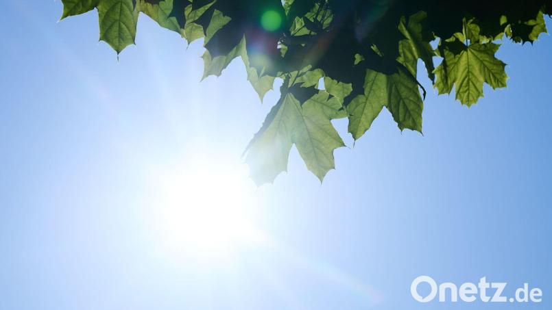 Hauptgrund für die Entwicklung sind laut Forschern weniger Wolken. (Symbolbild) Bild: Annette Riedl/dpa