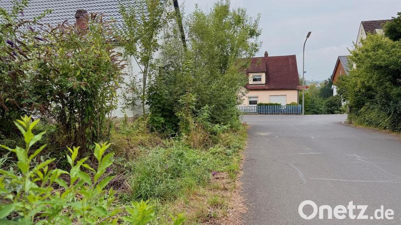 Wo hört der Garten auf, wo fängt die Straße an? Wenn Hecken und andere Gehölze oder auch Unkräuter bei mangelhafter Pflege auf Straßen und Gehwege wuchern, können sie zum Problem für Fußgänger, aber auch für Autos, Müllabfuhr und Winterdienst sowie den Regenwasserabfluss werden. Bild: Gabi Schönberger