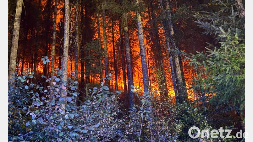 In mehreren Regionen kämpfen Feuerwehrleute gegen Flammen. Bild: Marius Daute/Feuerwehr Rottweil/dpa