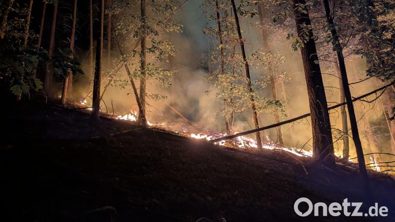 Auch nachdem der Brand im Wald bei Freudenberg gelöscht war, sind in den Tagen danach immer wieder kleine Feuer ausgebrochen, weil Wind Glutnester im Boden neu angefacht hat. Bild: Armin Daubenmerkl/Feuerwehr Freudenberg-Wutschdorf
