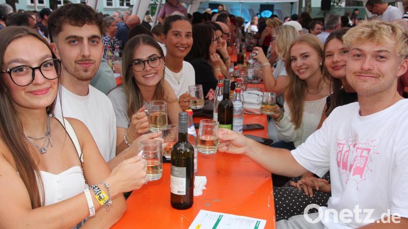 Gute Laune und Partystimmung war angesagt, auch bei den jungen Festbesuchern. Bild: Konrad Rosner