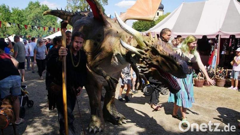 Ende August findet wieder Mittelalter-Fantasy-Markt in Pressath statt. Archivbild: allforyouevents