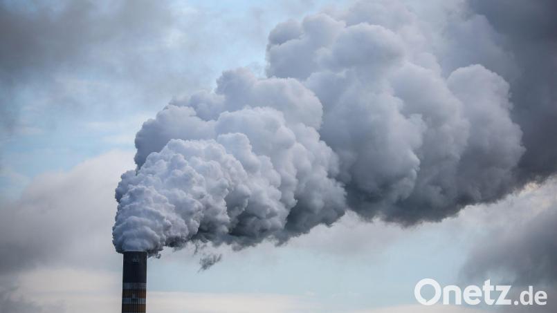Die Höhe des Preises und starke Schwankungen bremsen Investitionen in klimafreundliche Projekte, meint das Ifo. (Symbolbild) Bild: Jan Woitas/dpa