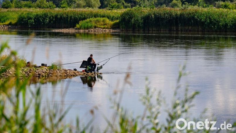 Das Wasser in den Seen und Weihern der Region wurde während der langen Hitzeperiode immer weniger. Auch jetzt fehlt trotz kurzzeitigem Regen immer noch viel Wasser. Was bedeutet das für die Angler im Umgang mit den gestressten Tieren während solch einer Trockenheit? Symbolbild: Patrick Pleul/dpa