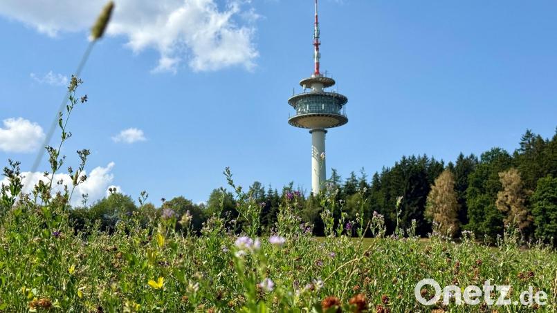 Seit 60 Jahren bedient der Fernsehturm auf der Geißleite am Fischerberg bei Weiden verschiedene Funkdienste (u.a. Mobilfunk, Rundfunk oder den Funkverkehr für Flugzeuge). Bild: Gabi Schönberger