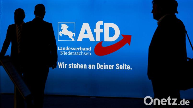 Ein CDU-Kommunalpolitiker hat der AfD in Sachsen-Anhalt mehrere tausend Euro gespendet. (Symbolbild) Bild: Julian Stratenschulte/dpa