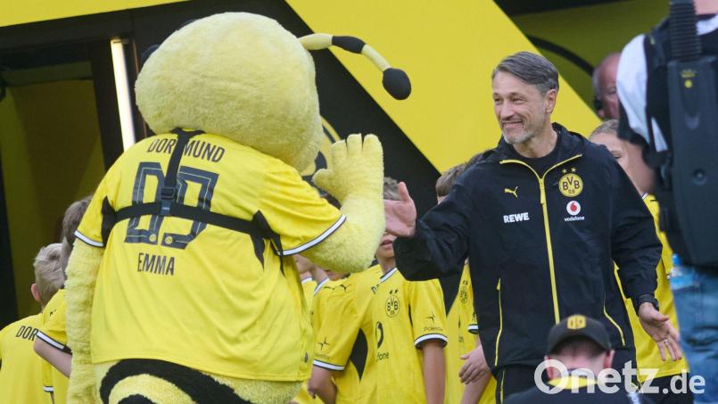 BVB-Coach Niko Kovač steht vor dem ersten Pflichtspiel der neuen Saison. (Archivbild) Bild: Bernd Thissen/dpa