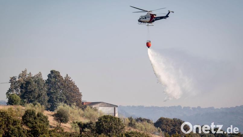 Immer wieder müssen in Spanien Hubschrauber für die Bekämpfung der vielen Waldbrände eingesetzt werden. (Archiv-Bild) Bild: A. Pérez Meca/EUROPA PRESS/dpa