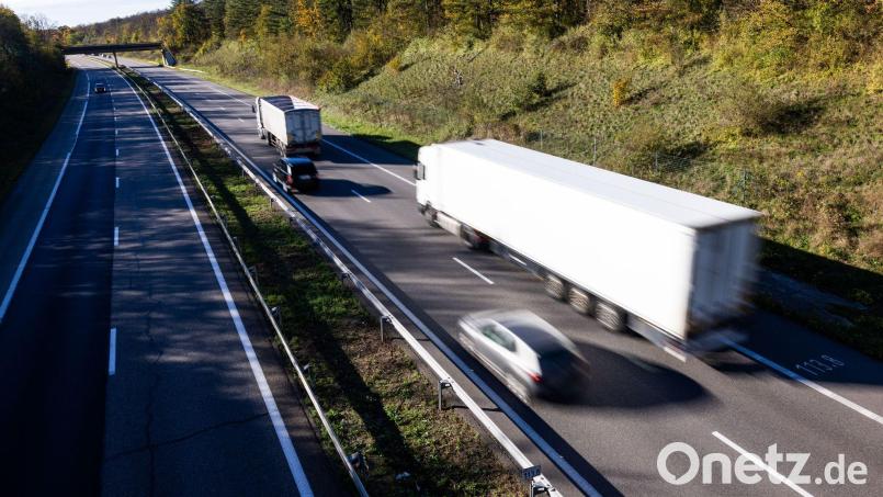Um ihre Katze zu finden, hat eine Familie in Frankreich ihren Urlaub abgesagt und die Zeit an einer Autobahnraststätte verbracht. Symbolbild: Philipp von Ditfurth/dpa