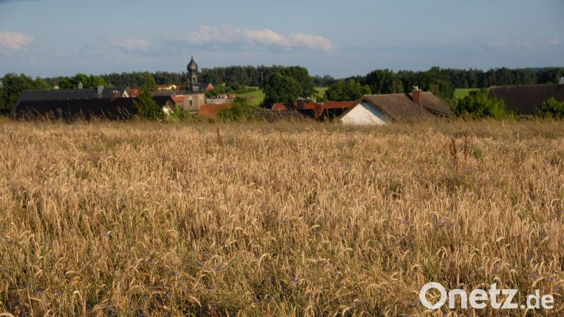 Mit Blick auf die voraussehbaren Bedürfnisse der Gemeinde Vorbach soll die sechste Änderung des Flächennutzungsplanes die Weichen für die längerfristige Bodennutzung der Kommune stellen. Dazu zählen auch Baugebietserweiterungen in Oberbibrach, zum Beispiel im Weinberggebiet. Bild: Robert Dotzauer