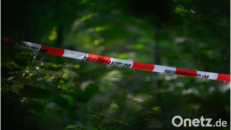 Der Fund in einem Wald bei Berlin hat Ermittlungen ausgelöst, die bis hin zu mutmaßlichen Anschlagsplänen führen (Archivbild). Bild: Robert Michael/dpa