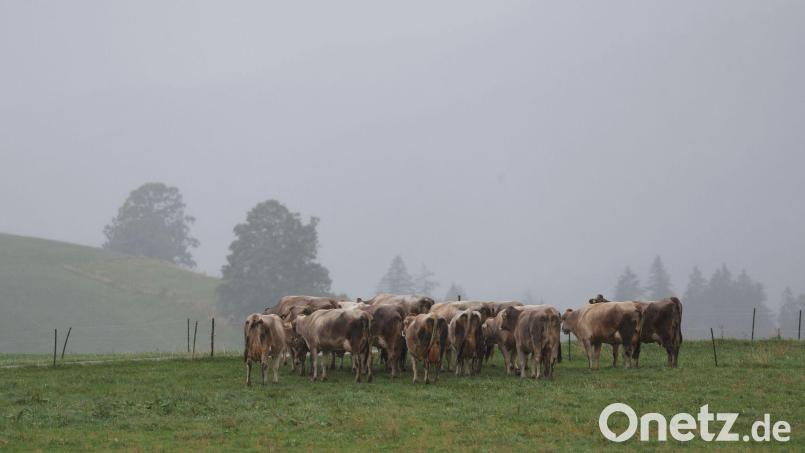 Das Wetter zeigt sich herbstlich dunkel. Bild: Karl-Josef Hildenbrand/dpa