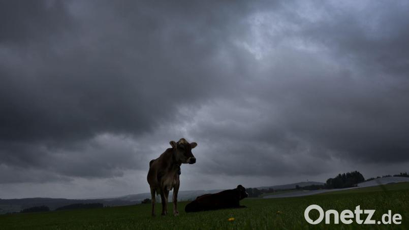 Am Dienstag soll es viel Regen und einzelne Gewitter geben. (Archivbild) Bild: Karl-Josef Hildenbrand/dpa