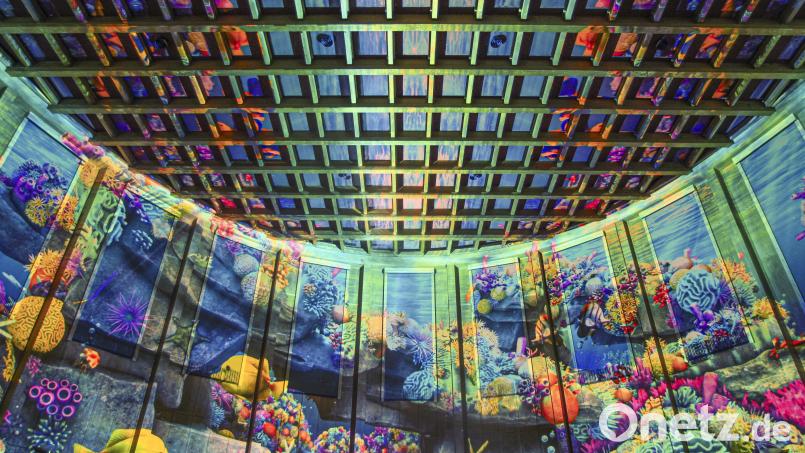 Mit „Pixel Zoo Ocean“ verwandelt sich die Schwimmhalle tagsüber in ein riesiges, digitales Aquarium. Bild: Roman Beranek