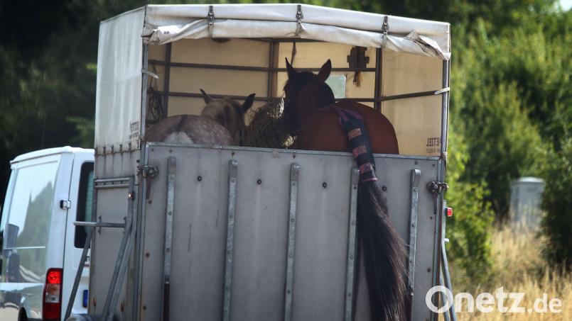 Ein Unbekannter scheitert laut Polizei beim Diebstahl eines Pferdeanhängers in Poppenreuth bei Mähring. Bild: Karl-Josef Hildenbrand / dpa