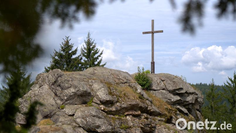 Eingerahmt von Bäumen, Büschen und Wildpflanzen steht sie oben auf dem Berg – die Burgruine Wildstein. Bild: hop