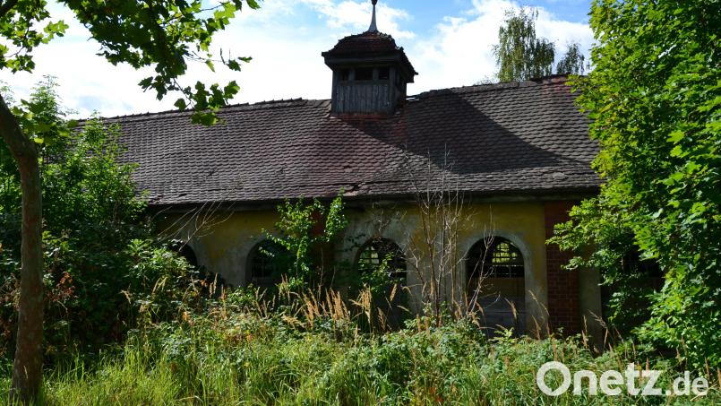 Die ehemalige Kantine der Porzellanfabrik Tirschenreuth am Johann-Keiner-Weg ist ein Lost Place wie aus dem Bilderbuch. Das Privatgrundstück ist verwildert und nahezu komplett zugewachsen. Bild: Thorsten Schreiber