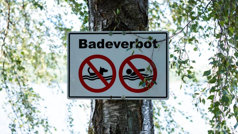 Das Badeverbot soll aufgehoben werden. (Symbolbild) Bild: Laszlo Pinter/dpa