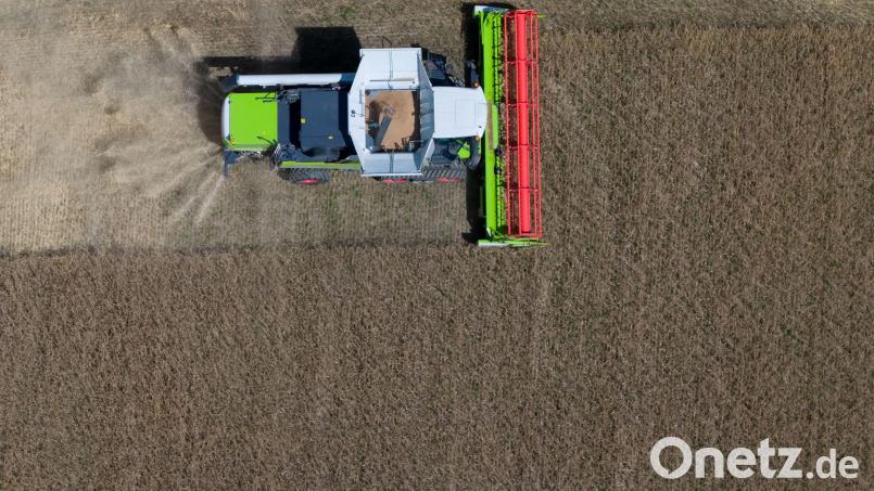 Die Getreideernte in Bayern fällt dieses Jahr schlecht aus – den Pflanzen fehlte Wasser. (Symbolbild) Bild: Sven Hoppe/dpa
