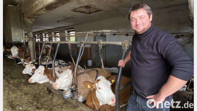 Matthias Lohrers Anbindestall ist bald Geschichte: Die Kühe ziehen in einen größeren Tierwohlstall um, der mit einem digitalen System überwacht und gesteuert werden soll. Bild: Claudia Völkl