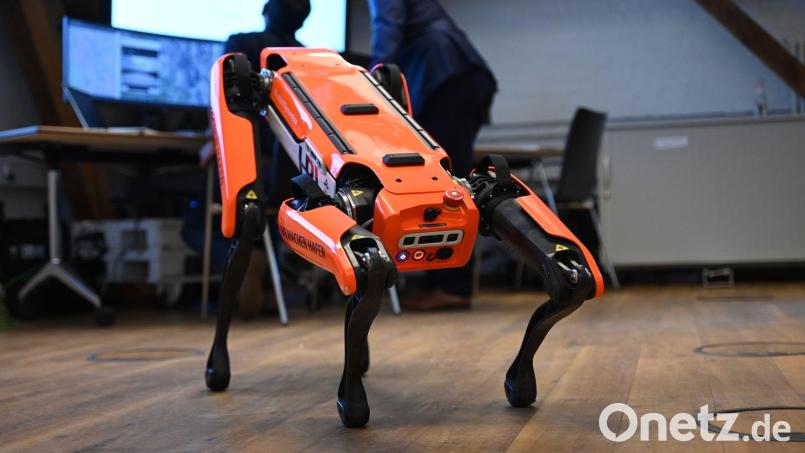 Ähnliche Roboter kamen auch am Hamburger Hafen zum Einsatz. (Archivbild) Bild: Katrin Luxenburger/dpa
