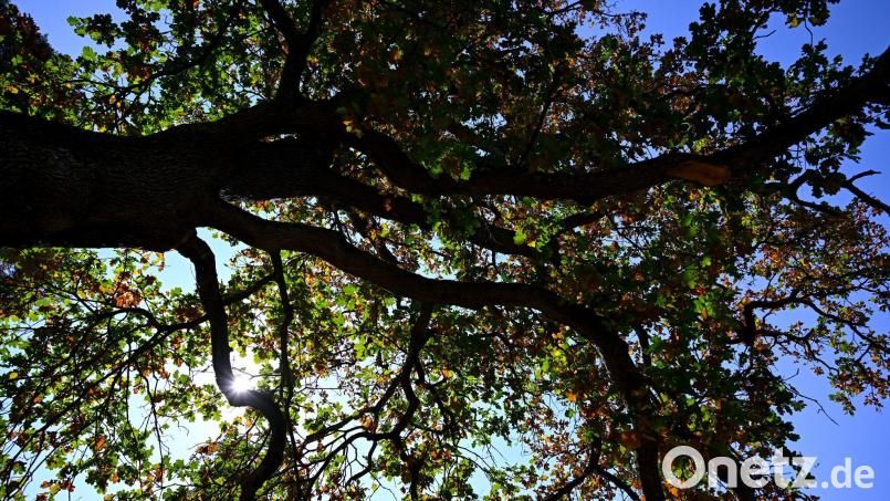 Das Wetter in Bayern bleibt durchwachsen. (Archivbild) Bild: A4366 Sven Hoppe/dpa