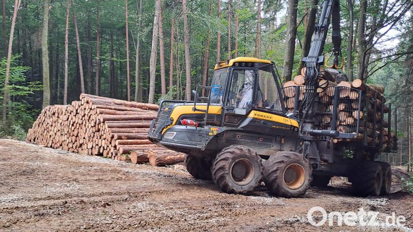 Noch etwa drei Wochen werden schwere Maschinen im Archenleitener Wald mit Durchforstungsarbeiten beschäftigt sein. Dann kommen Rückepferde zum Einsatz. Bild: Josef Popp