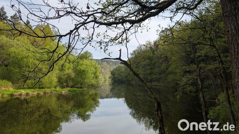 Wandern entlang der Mies: Zwischen Tachov und Stříbro zieht sich der Fluss Mže durch eine, wie Magdalena Becher sagt, "wunderschöne" Landschaft. Bild: wüw