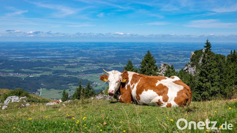 Es bleibt freundlich in Bayern. (Archivbild) Bild: Peter Kneffel/dpa