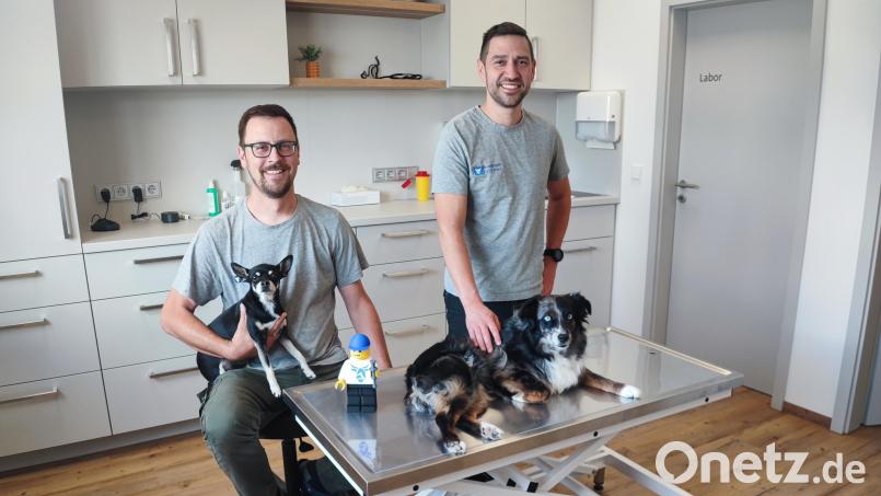 Vor wenigen Wochen haben Heribert Krauß und Michael Fürst (von links) ihre Tierarztpraxis in Kemnath eröffnet. Für das Foto haben sich zwei der Praxishunde der Mitarbeiterinnen als "Patienten" zur Verfügung gestellt. Bild: luk
