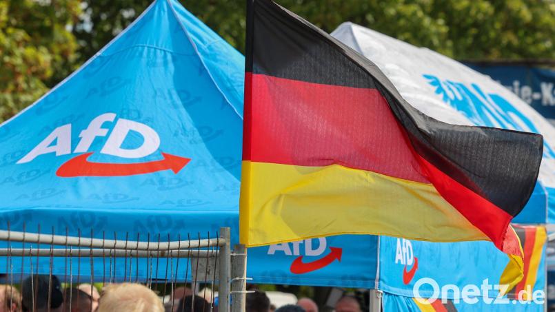 In Umfragen klar vorn: die AfD in Sachsen-Anhalt. Bild: Peter Gercke/dpa