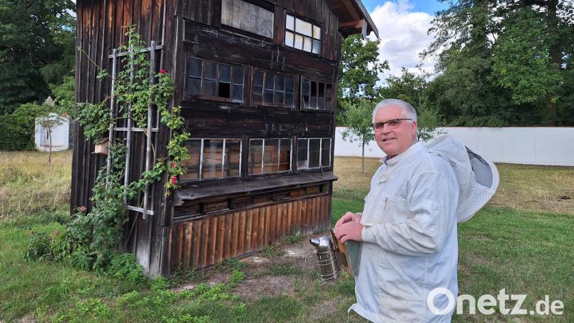 Der frühere Pfreimder Bürgermeister Richard Tischler hat nun endlich mehr Zeit für die Imkerei. Er kümmert sich um insgesamt 17 Bienenvölker an mehreren Standorten, darunter auch im Klostergarten (Bild) und schleudert jährlich 250 Kilogramm Honig. Bild: bl