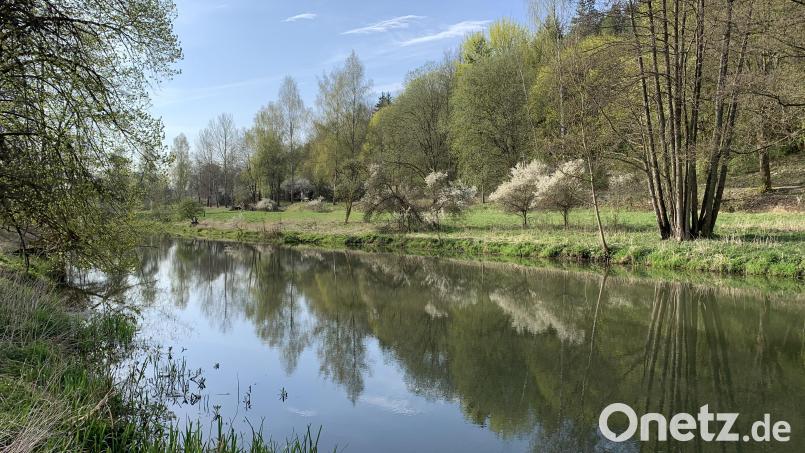 Das Wasserwirtschaftsamt Weiden kündigt Vermessungsarbeiten an der Vils bei Ensdorf an. Archivbild: Naturpark Hirschwald