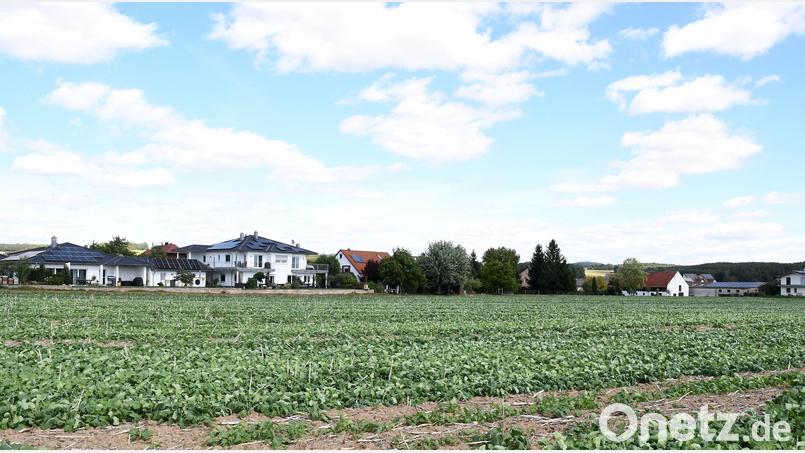 Auf der bisher landwirtschaftlich genutzten Fläche südlich von Hiltersdorf soll ein Wohngebiet mit 15 Bauparzellen entstehen. Bild: Alfred Schorner