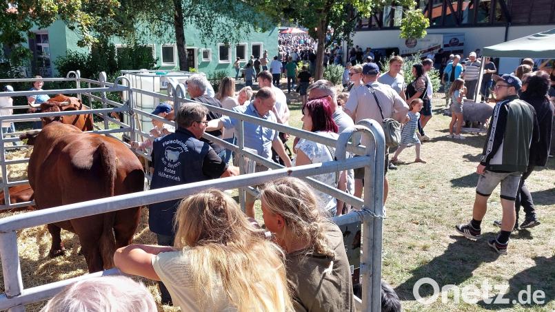Der Tag der offenen Tür im Staatsgut Almesbach zählte am Sonntag tausende Besucher. Rund um die Tierhaltung und die Entwicklung der Landwirtschaft gab es viele Informationen. Bild: Helmut Kunz