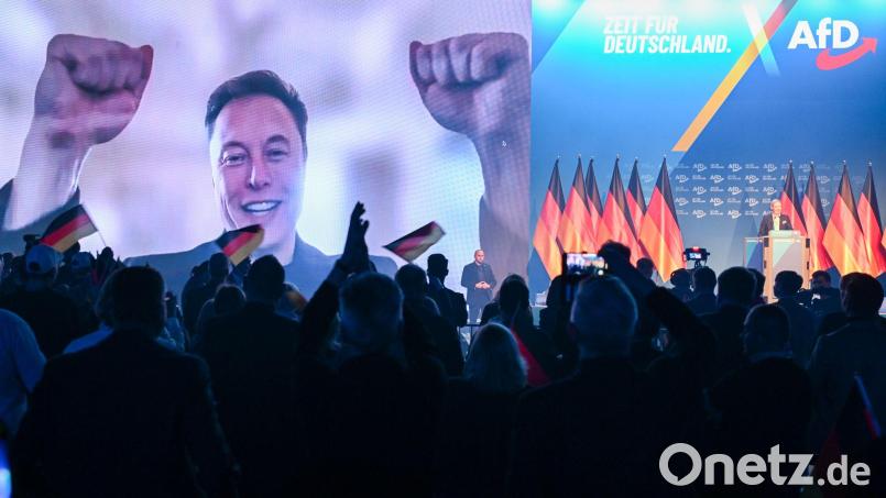 Auch Tech-Milliardär Elon Musk gratulierte der AfD. (Archivbild) Bild: Hendrik Schmidt/dpa
