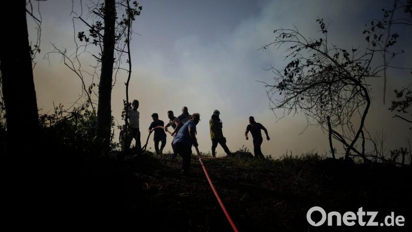 Immer wieder gibt es Waldbrände in der Türkei. (Archivbild) Bild: Emrah Gurel/AP/dpa