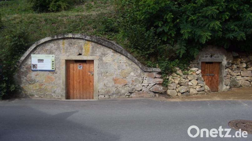 Wo früher Kartoffeln, Rüben und Getränke kühl gelagert wurden, sollen jetzt Fledermäuse einziehen: In der Herrengasse in Weidenthal sind drei verfallene Erdkeller restauriert und in Fledermausquartiere umgebaut worden. Bild: Richard Braun