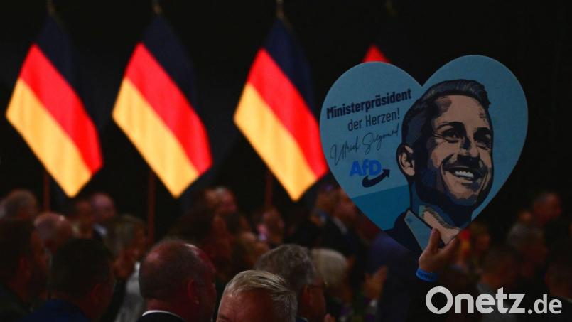 Im Wahlkampf warb die AfD in Sachsen-Anhalt auch mit einer „patriotischen Kulturpolitik“. Der Deutsche Musikrat warnt vor Einschnitten bei der Kunstfreiheit. Bild: Sebastian Gollnow/dpa