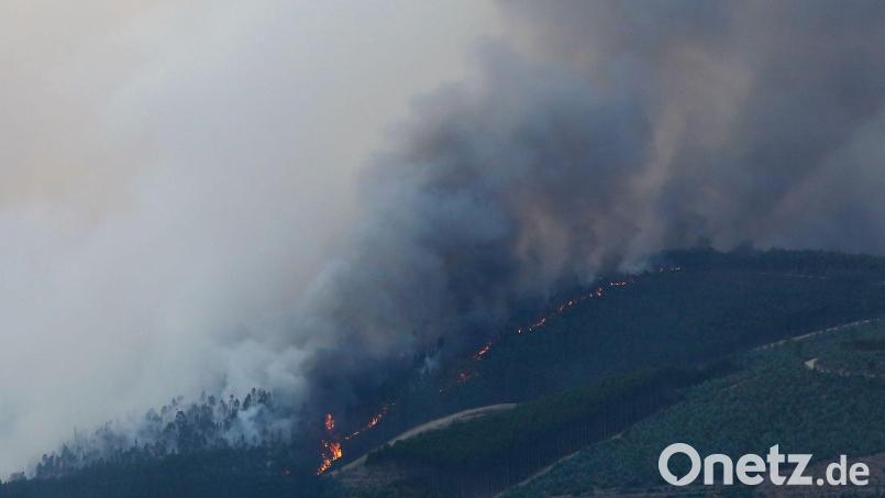 Brandpartikel können sich über tausende Kilometer verbreiten (Archivbild) Bild: Bruno Fonseca/AP