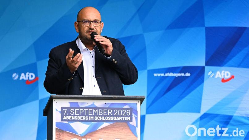 Der bayerische AfD-Landeschef fordert von den Kirchen, sich politisch nicht einzumischen. Bild: Sven Hoppe/dpa