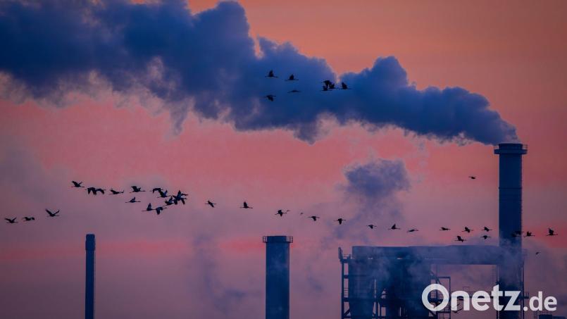 Zumindest eine Delle für die Industrieproduktion. (Archivbild) Bild: Jens Büttner/dpa