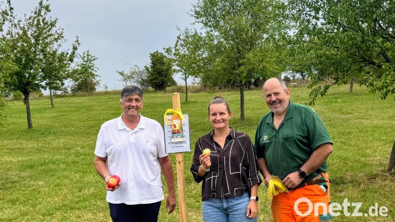 ILE-Vorsitzender Edgar Knobloch, ILE-Regionalmanagerin Daniela Koslowski und Stadtgärtner Alexander Eismann beim Kennzeichnen einer Streuobstwiese in Grafenwöhr. Bild: ILE Region VierStädtedreieck