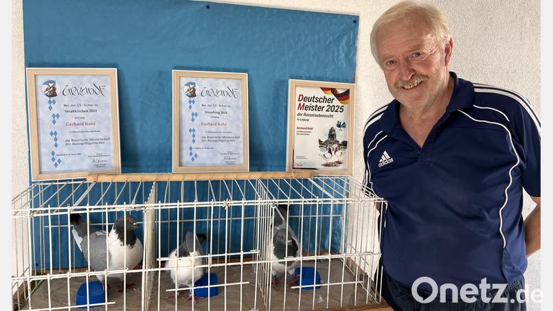 Gerhard Kohl aus Süß ist stolz auf seine preisgekrönten Böhmentauben. Im Dezember 2025 wurde er Deutscher Meister, jetzt gibt er sein Hobby nach sechs Jahrzehnten auf. Bild: Marianne Moosburger