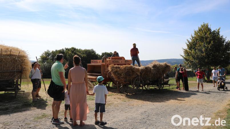 Historisches Getreidedreschen im Freilandmuseum Oberpfalz. Bild: Simone Kramer