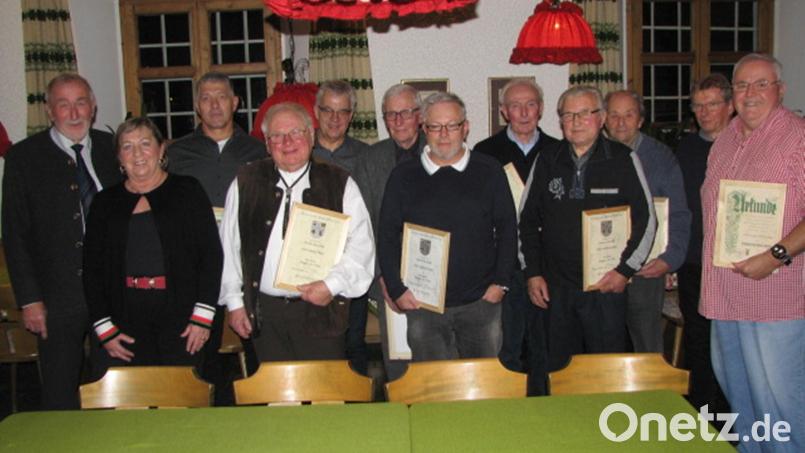 Herbert Kick (links), Rita Steiner (vorne, links) und Albert Puff (Zweiter von rechts) danken den Geehrten für ihre Treue zum Verein und ihrer Liebe zum Gesang. Vorsitzender Rudi Bayer (vorne, Zweiter von links) wird für 60 Jahre Singen ausgezeichnet. Bild: knh
