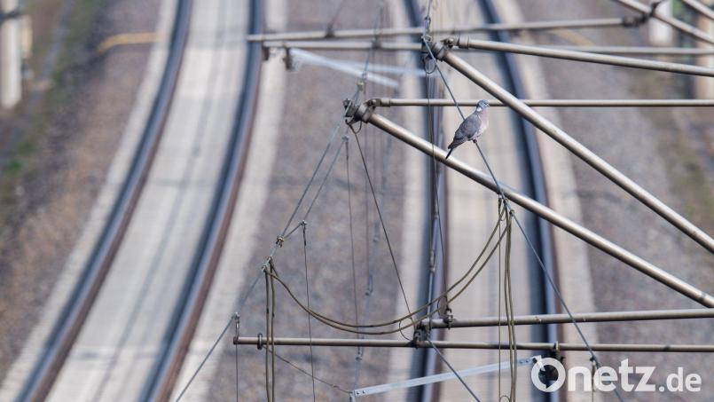 Fernzüge zwischen Berlin und NRW über Hannover brauchen ab Oktober für rund 14 Monate rund 80 Minuten länger. (Archivbild) Bild: Julian Stratenschulte/dpa